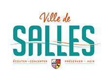 Ville de Salles